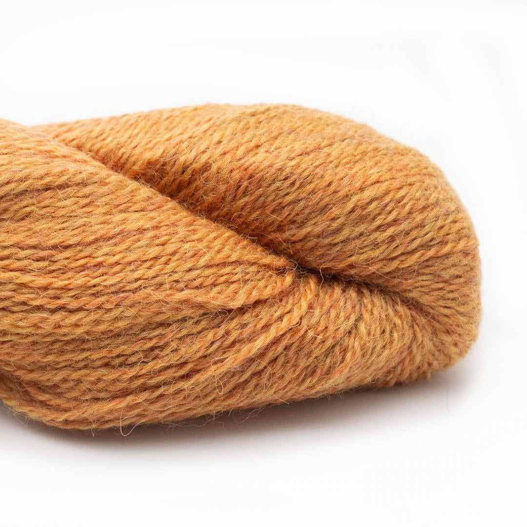 BC Garn Yarn 061 Amber Baby Alpaca Lace