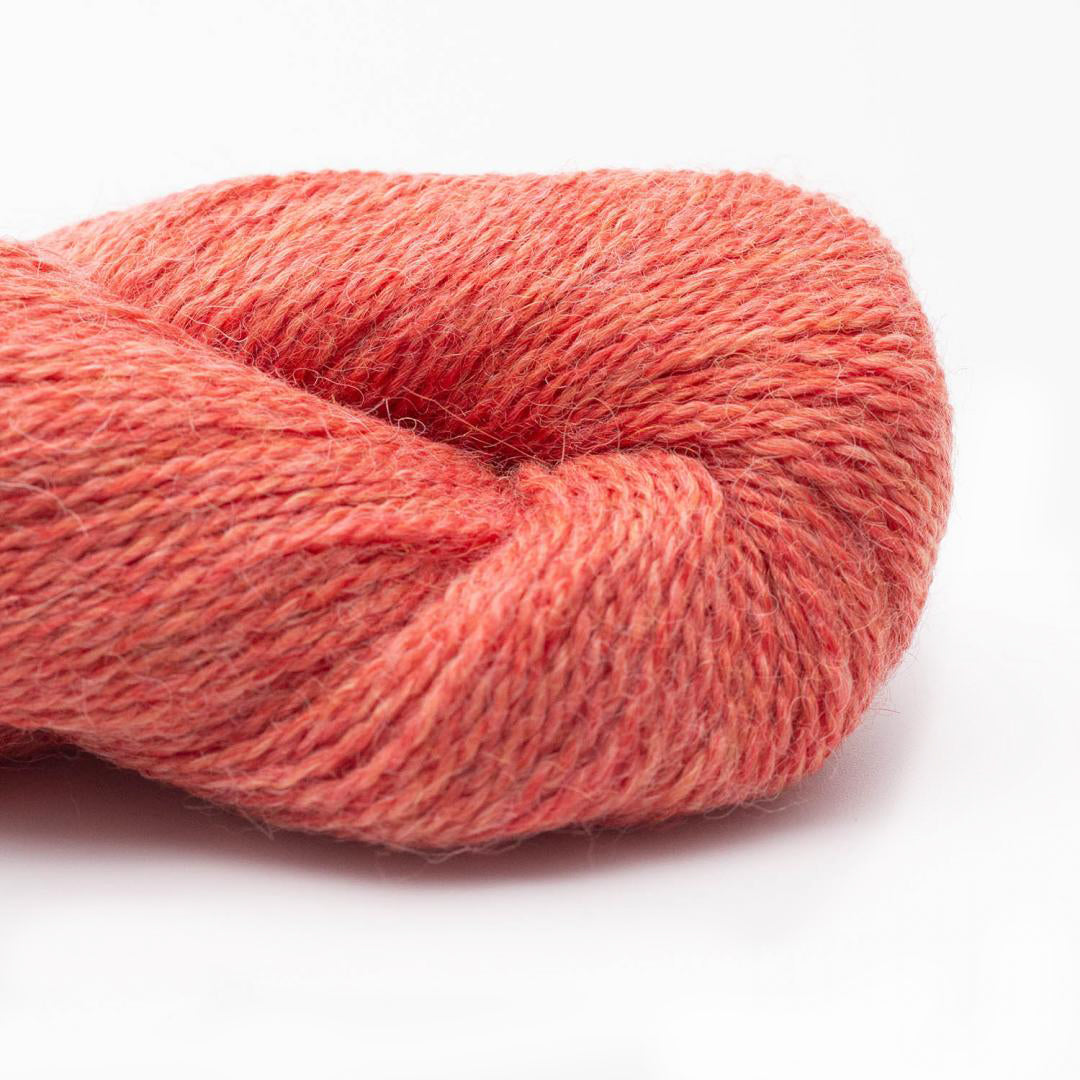 BC Garn Yarn 111 Salmon Baby Alpaca Lace